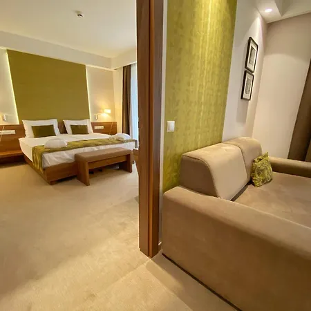 فندق Imola Platan 4*