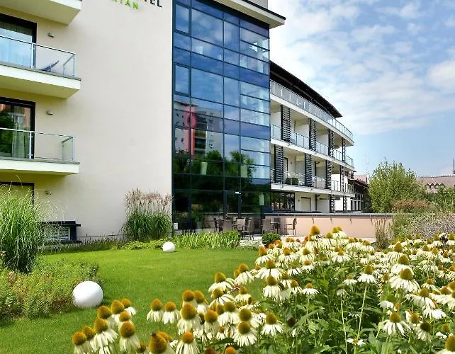 Imola Platan - Adults Only 4*