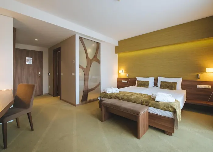 Imola Platan - Adults Only 4*