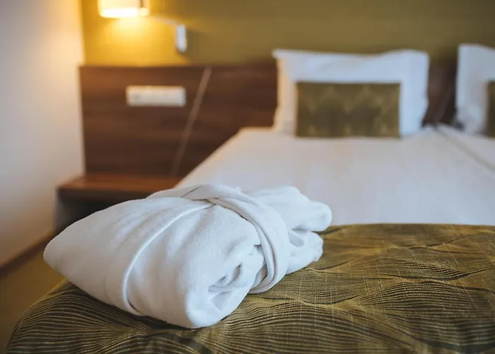 Hotel Imola Platan - Adults Only Erlau